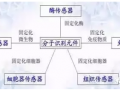 生物傳感器的分類