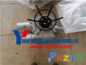 DZW普通系列-1