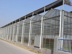 山西溫室蔬菜大棚——哪里有提供靠