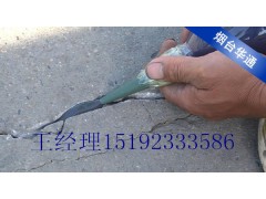 河北道路密封膠廠家與您坦誠相待