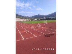 河北優(yōu)良的混合型塑膠跑道供應(yīng)商，