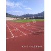 河北優(yōu)良的混合型塑膠跑道供應(yīng)商，熱銷混合型塑膠跑道