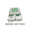 樂清市國亞防爆電器專業(yè)供應(yīng)防爆配電箱——樂清防爆照明動力配電箱生產(chǎn)廠家
