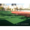 寧夏中衛(wèi)市塑膠跑道|塑膠跑道廠家價(jià)格|塑膠跑道材料