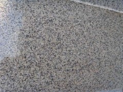 甘肅金山麻石材|優質的金山麻石材公