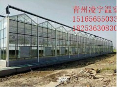【河南智能溫室承建】【河南智能溫