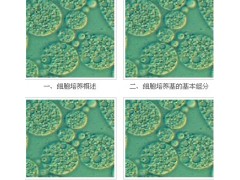 宜興賽爾生物提供宜興細胞培養(yǎng)基，