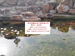 鎮江市別墅景觀魚池水凈化過濾循環