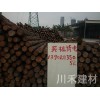 松木樁特色，供應(yīng)廣東熱銷松木樁