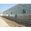 文絡式型智能玻璃溫室專業設計建造，文絡型溫室大棚設計