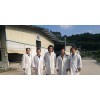 長期供應(yīng)2018年生態(tài)環(huán)保豬肉|出色的環(huán)保養(yǎng)豬技術(shù)