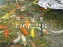 無錫市錦鯉魚池過濾公司！鴻瀚環保1