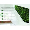 開封環保項目——鄭州智能綠植墻代理哪家好
