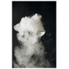 昆明高純氣體專業(yè)供應(yīng)商_昆明鉑泰干冰_昆明高純氣體