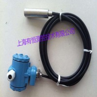上海有恒UHTR-802F防腐型投入式液位計
