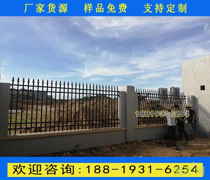 19號新圖片5