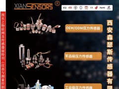已經(jīng)有20年傳感器技術(shù)經(jīng)驗(yàn)西安森瑟斯入駐《儀表與測(cè)量控制》2021年第5期之物聯(lián)網(wǎng)及傳感器展特刊的小封面