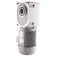 中大力德_F3系列準(zhǔn)雙面齒輪減速電機(jī) ZDF3-1500W