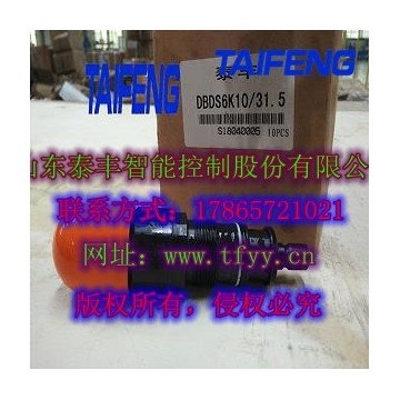 泰豐直動式溢流閥DBDS10K現貨批量供