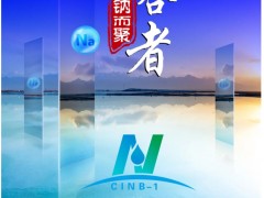 【參會(huì)指南】超200家單位報(bào)名，五十六場精彩報(bào)告，共同開啟鈉電盛會(huì)