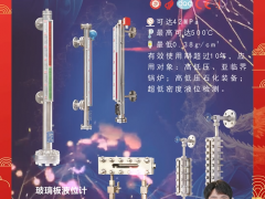 四川惠科達(dá)儀表制造有限公司 總經(jīng)理 藍(lán)若靈 2024年新春寄語(yǔ)