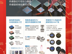 江蘇德新科智能傳感器研究院有限公司 總經(jīng)理  陳立新 2024年新春寄語(yǔ)