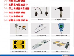 廣東華蘭海電測入刊上海世環會特刊《儀表與測量控制》系列客戶報道40