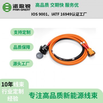 新能源電動汽車250A充電插座高壓線
