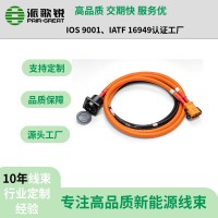 新能源電動汽車250A充電插座高壓線束 新能源充電線束工廠
